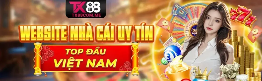 Hướng dẫn người mới bắt đầu